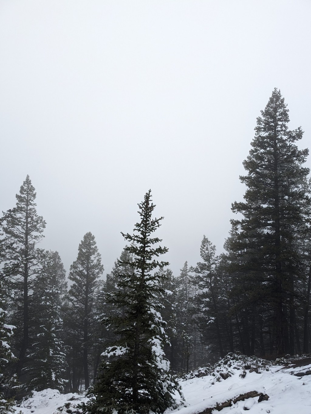 500km: Tunnel Mountain