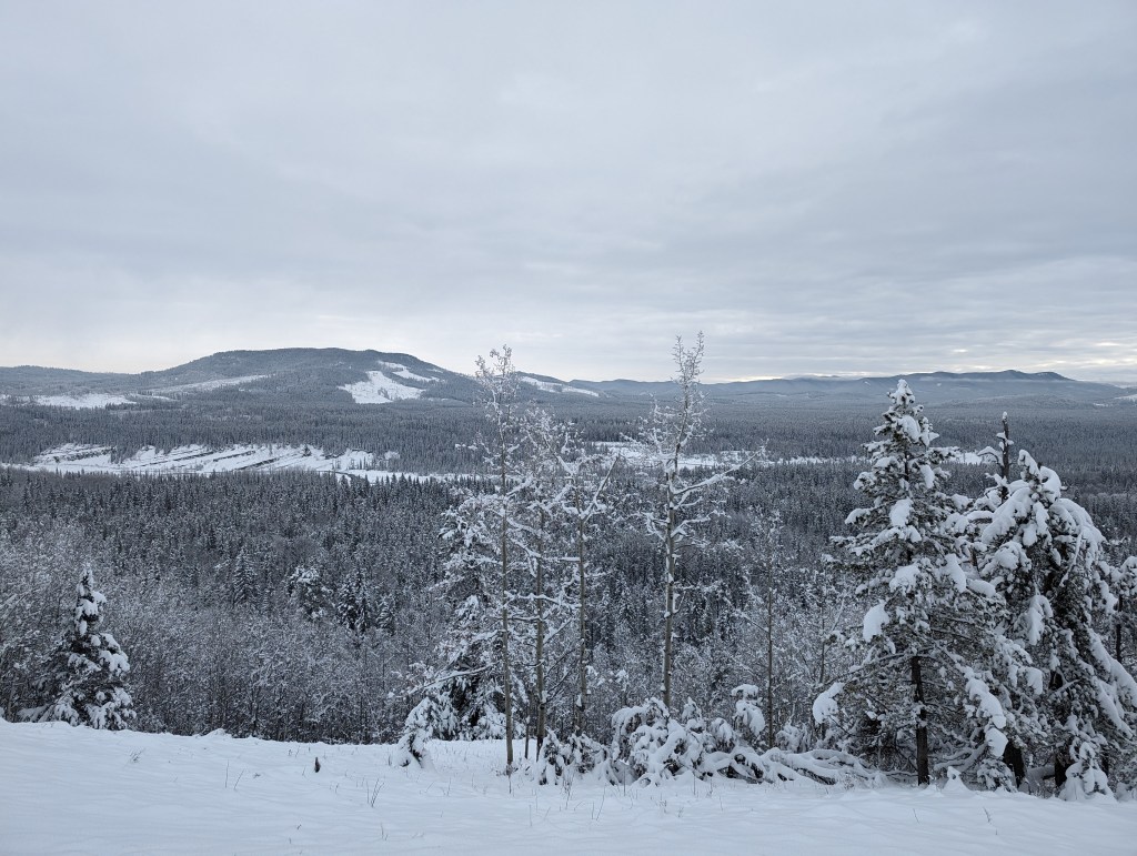 The 500km: Fullerton&nbsp;Loop